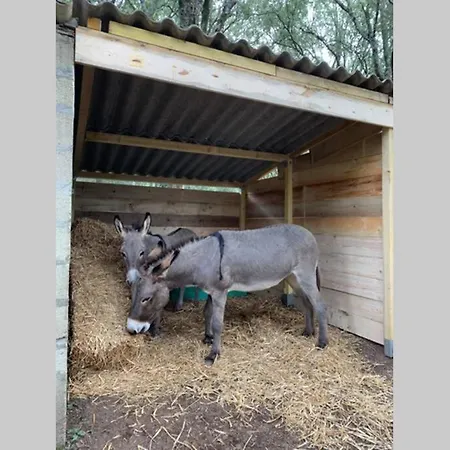 Maison Typique De Campagne Au Coeur De La Nature . * Sartène