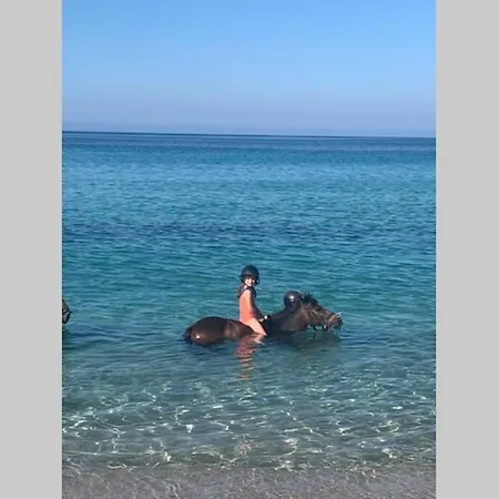 Casa vacanze Maison Typique De Campagne Au Coeur De La Nature .