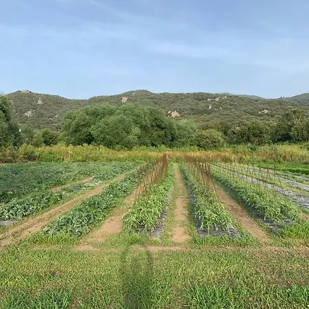 Casa vacanze Maison Typique De Campagne Au Coeur De La Nature .