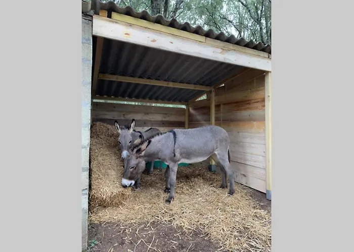 Maison Typique De Campagne Au Coeur De La Nature . * サルテーヌ