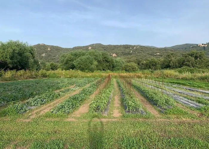 別荘 Maison Typique De Campagne Au Coeur De La Nature .