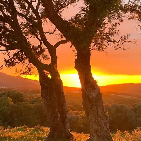 度假居 Maison Typique De Campagne Au Coeur De La Nature . 萨尔泰纳
