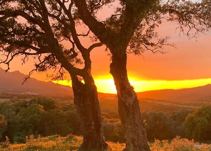 Casa de Férias Maison Typique De Campagne Au Coeur De La Nature . Sartène