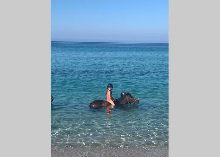 Casa de Férias Maison Typique De Campagne Au Coeur De La Nature .